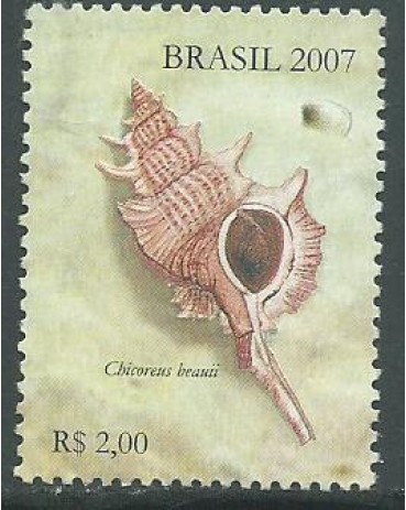 C2693 CONCHAS MARÍTIMAS, DO BLOCO 145 - 2007 - 10.870 Mint